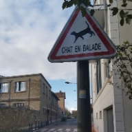 User profile picture